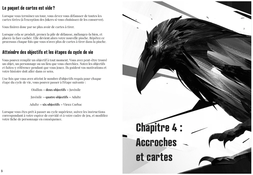 La voie du corbeau 2