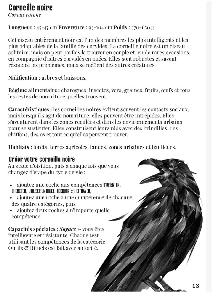 La voie du corbeau 3