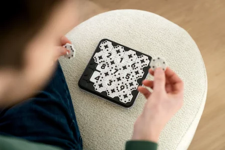 03-2025-smartgames_-_klein_396_van_966__1