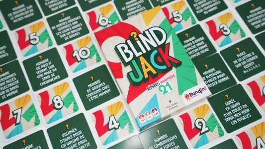 BlindJack-FR-Top View