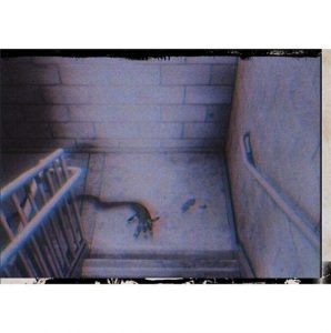 JDRIND019_4-600x604