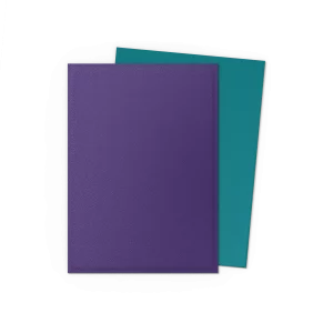 at-15070-ds100-matte-dual-soul-petrol-sleeves[1]