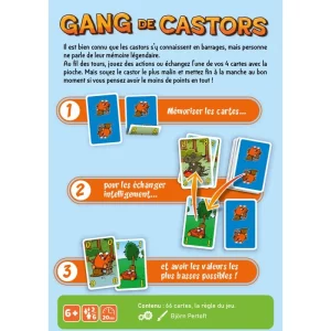 gang-de-castors (3)