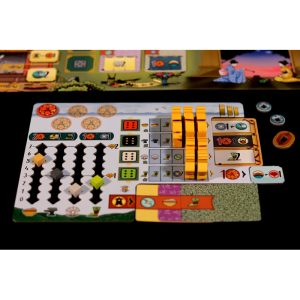 iello-expert-le-chateau-blanc-ext-matcha-sortie-11-2024 (4)