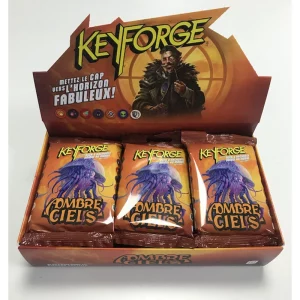 vf-boite-de-12-decks-aombre-ciel-keyforge